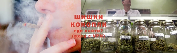 круглые Белокуриха